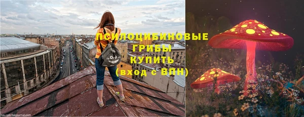 спиды Алзамай