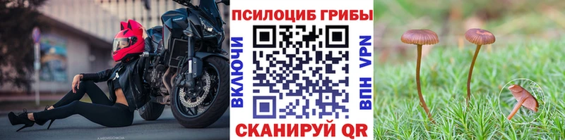 Псилоцибиновые грибы прущие грибы  Купить  Ленск 